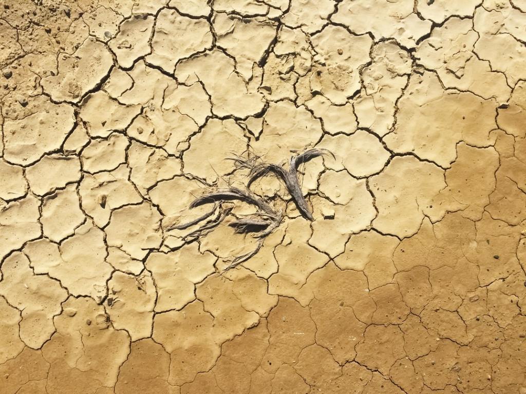 Drought ridden land